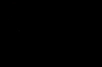 0N5A2731